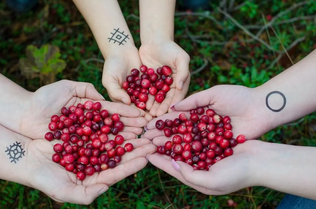 Does Cranberry Juice Really Help Prevent UTIs? What Does Science Say?